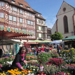 Blumen Marktplatz